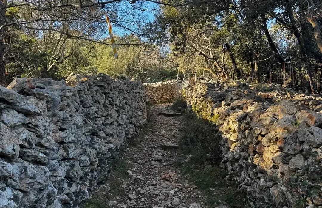 Path between two old dry-stone walls under trees