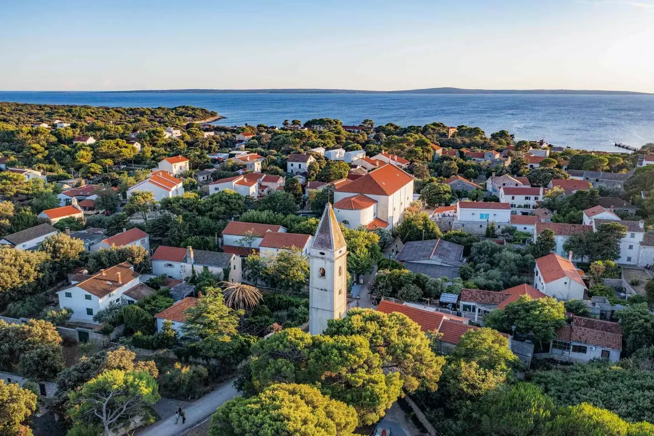 Aerial view of Silba village with its bell tower, red roofs, pine trees and the sea beyond
