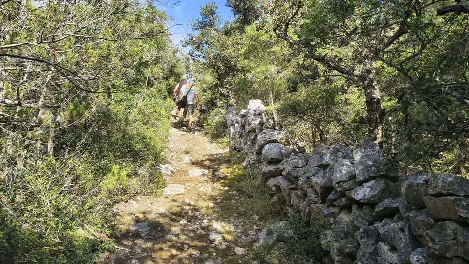 Two walkers on a stony path beside a dry-stone wall among green trees